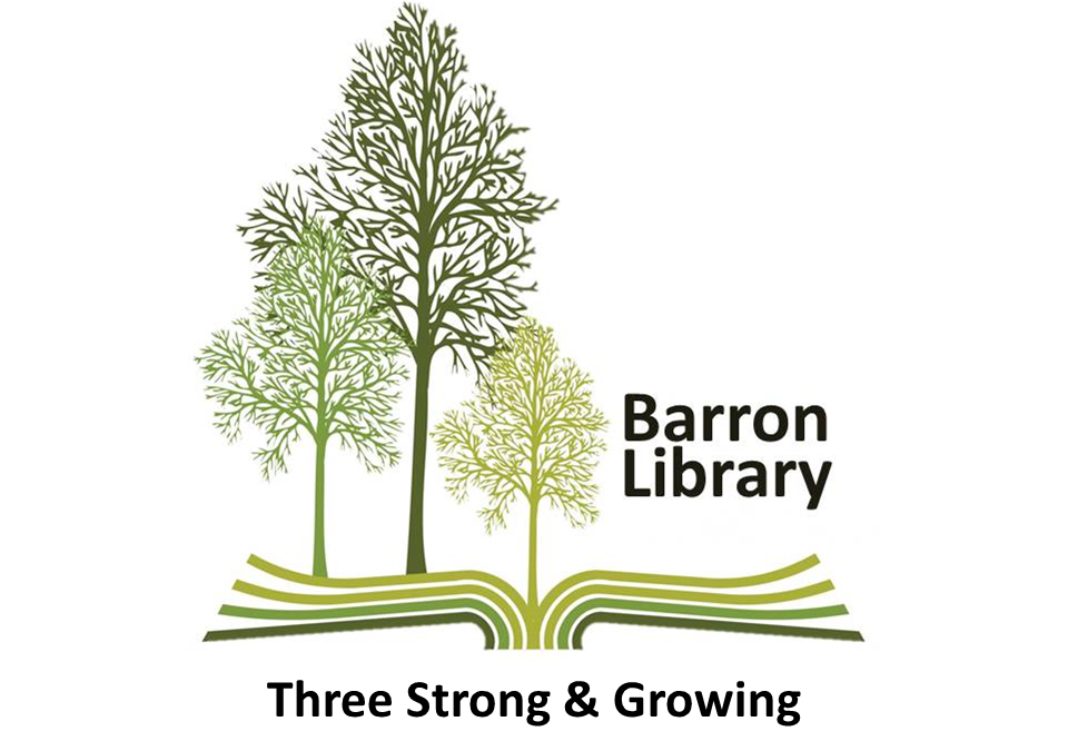 Barron Hendry County Library